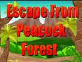 Mäng Escape From Peacock Forest