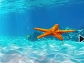 Mäng Escape From Underwater Starfish