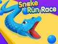Mäng Snake Run Race