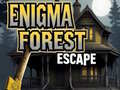 Mäng Enigma Forest Escape