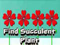 Mäng Find Succulent Plant
