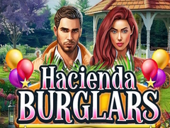 Mäng Hacienda Burglars