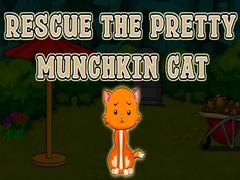 Mäng Rescue The Pretty Munchkin Cat