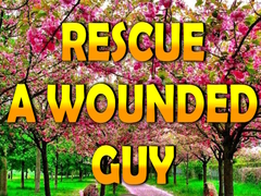 Mäng Rescue A Wounded Guy