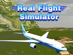 Mäng Real Flight Simulator 