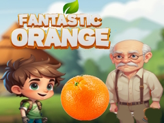 Mäng Fantastic Orange