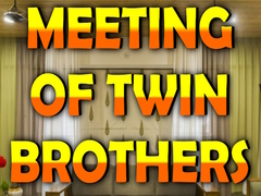 Mäng Wow Meeting of Twin Brothers