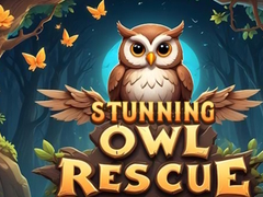 Mäng Stunning Owl Rescue