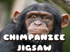 Mäng Chimpanzee Jigsaw