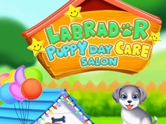 Mäng Labrador Puppy Daycare Salon