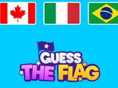 Mäng Guess The Flags