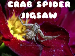 Mäng Crab Spider Jigsaw