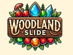 Mäng Woodland Slide