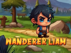 Mäng Wanderer Liam