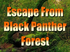 Mäng Escape from Black Panther Forest