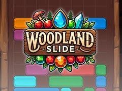 Mäng Woodland Slide