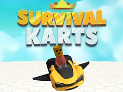 Mäng Survival Karts