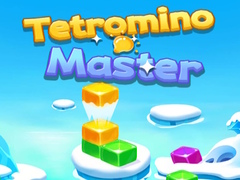 Mäng Tetromino Master