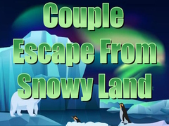 Mäng Couple Escape from Snowy Land