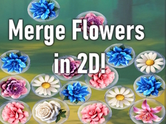 Mäng Merge Flowers in 2D!