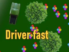 Mäng Driver fast