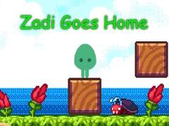 Mäng Zadi Goes Home