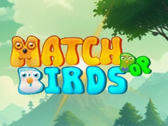 Mäng Match Pop Birds