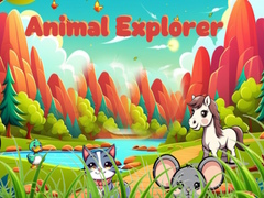 Mäng Animal Explorer 