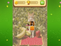 Mäng Farm Cat Memory Match