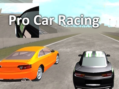 Mäng Pro Car Racing