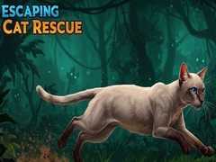 Mäng Escaping Cat Rescue