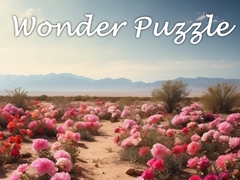 Mäng Wonder Puzzle