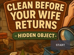 Mäng Clean Before Your Wife Returns Hidden Object