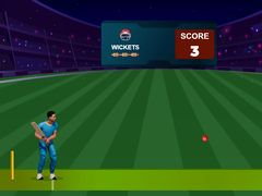 Mäng Cricket Night 2