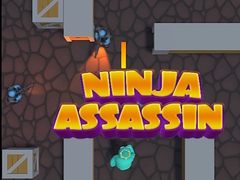 Mäng Ninja Assassin