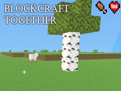 Mäng BlockCraft Together