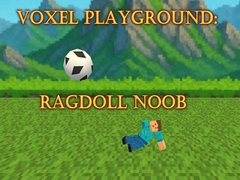 Mäng Voxel Playground: Ragdoll Noob