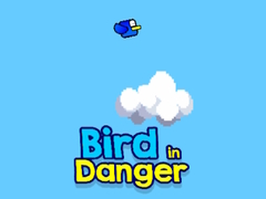 Mäng Bird in Danger