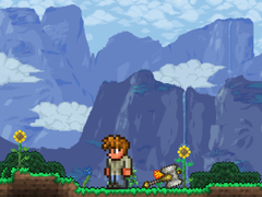 Mäng Terraria Playground