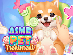 Mäng ASMR Pet Treatment