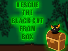 Mäng Rescue the Black Cat from Box