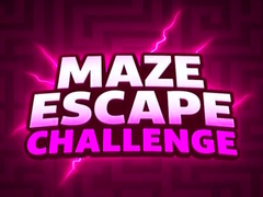 Mäng Maze Escape Challenge