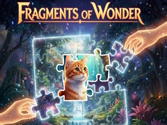 Mäng Fragments of Wonder