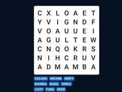 Mäng Word Search Word Puzzle