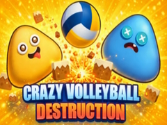 Mäng Crazy Volleyball Destruction