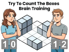 Mäng Try To Count The Boxes Brain Training