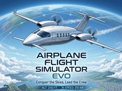 Mäng Airplane Flight Simulator EVO