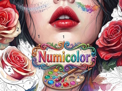 Mäng Numicolor