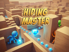 Mäng Hiding Master