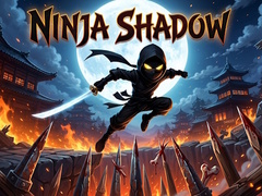 Mäng Ninja Shadow